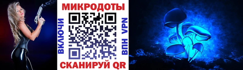 Псилоцибиновые грибы ЛСД  Питкяранта 